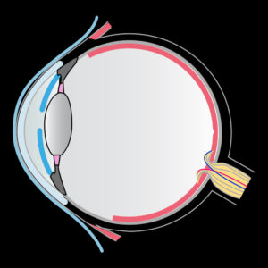 Child with Retinopathy of Prematurity NJ lawsuit