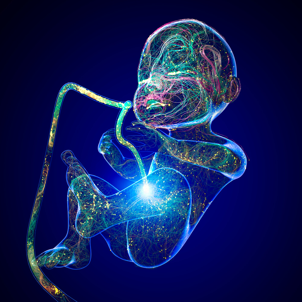 Doctor Improperly Cut the Umbilical Cord Too Soon in NJ