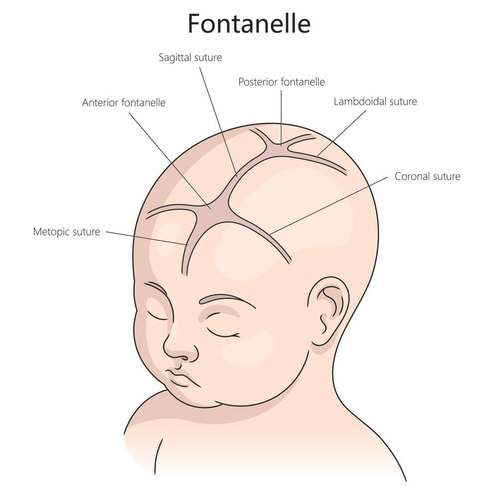 Bulging Fontanelle-Related Birth Injury Attorneys NJ